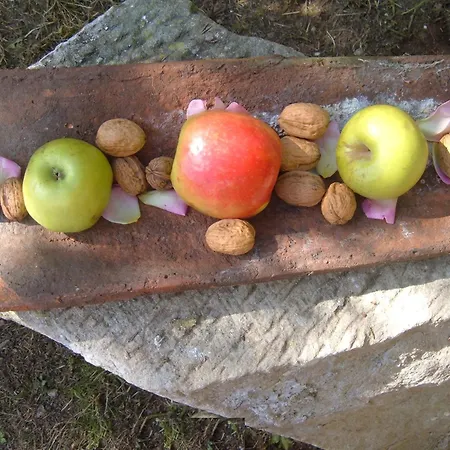 אורחן Palacio De Arredondo *