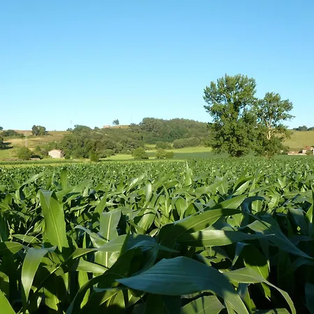 אורחן Palacio De Arredondo