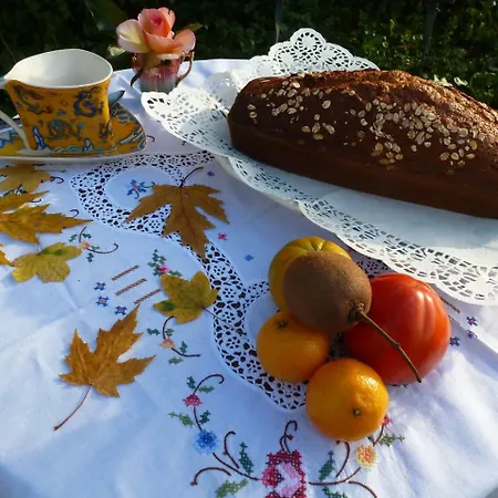 Palacio De Arredondo Gama