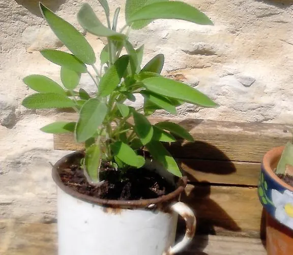 Palacio De Arredondo Gama