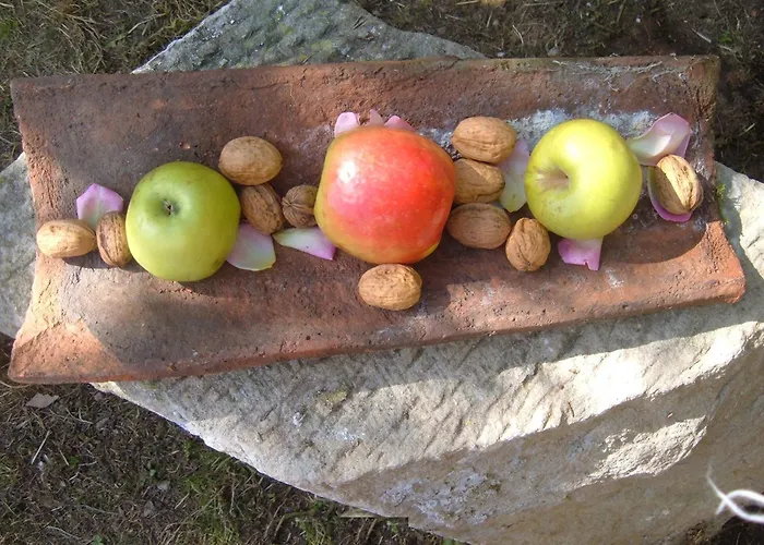 宾馆 阿雷东多宫殿酒店 *