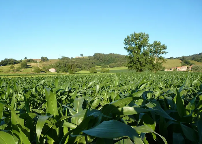 宾馆 阿雷东多宫殿酒店