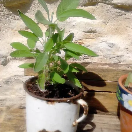 Palacio De Arredondo Gama